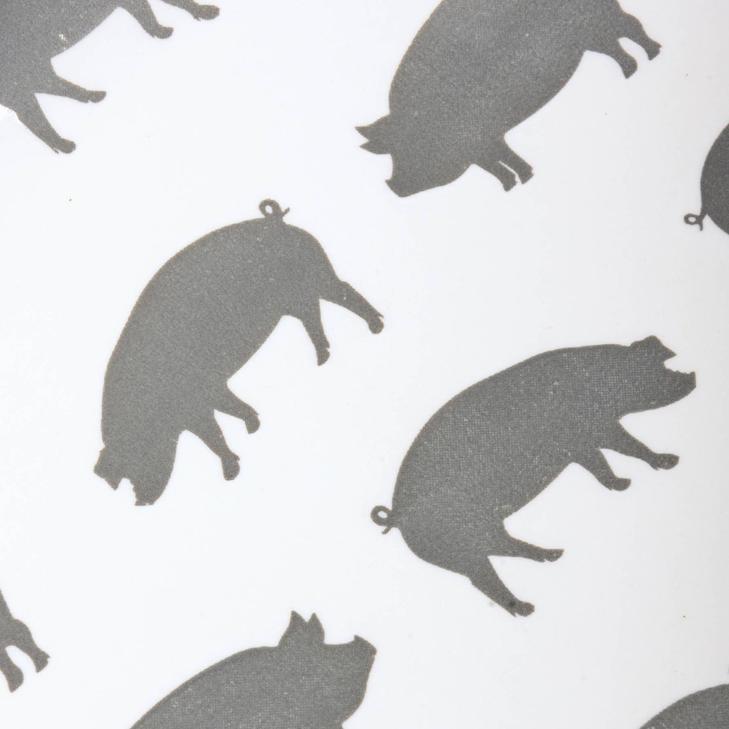 Pigs Tray
