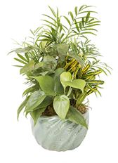 6-8" Ceramic Dish Garden