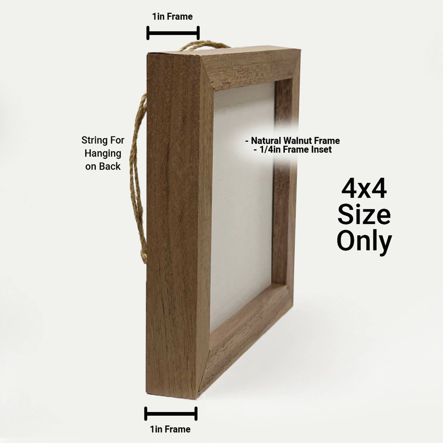 God Has A Vision Whitewash