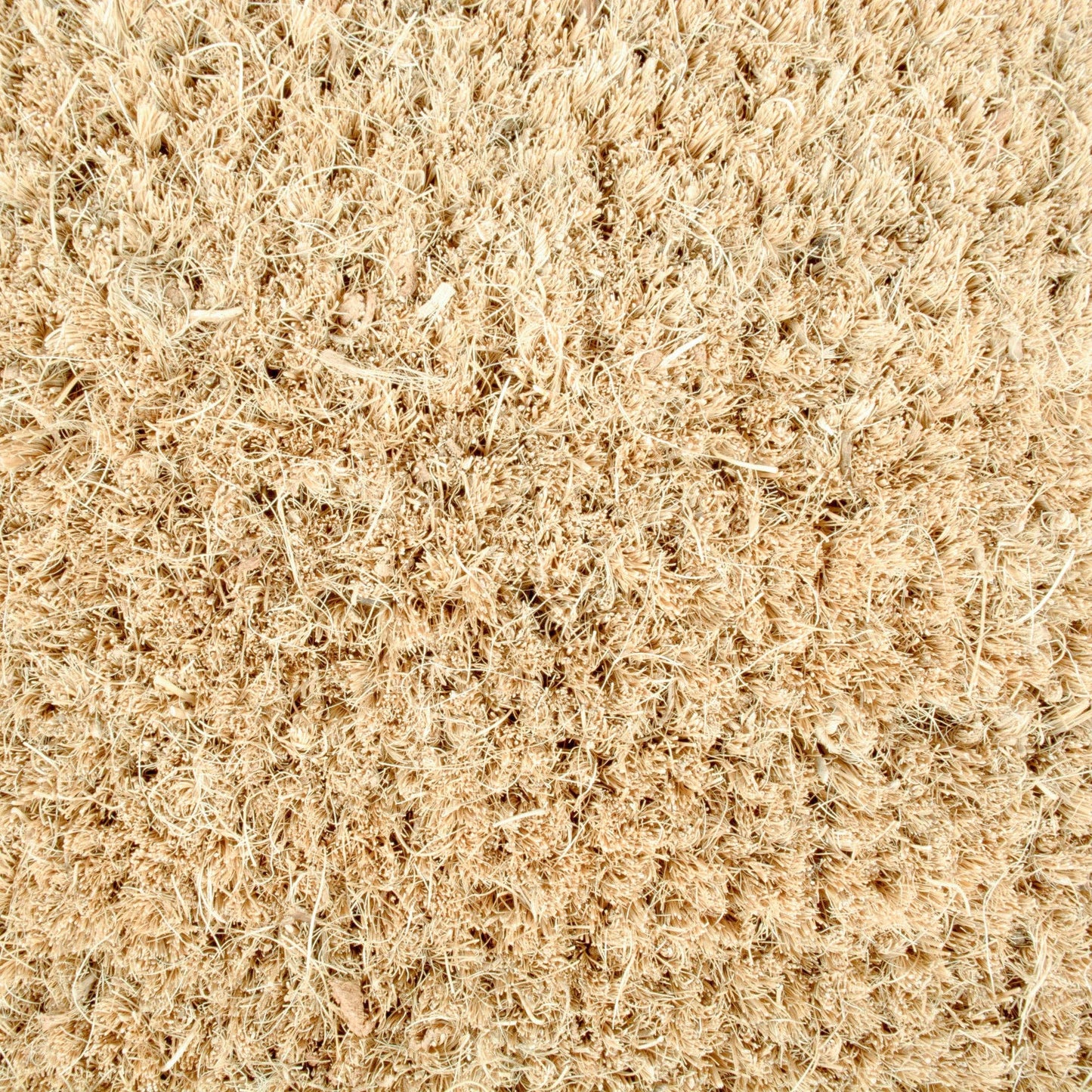 Merry Christmas Trees Doormat