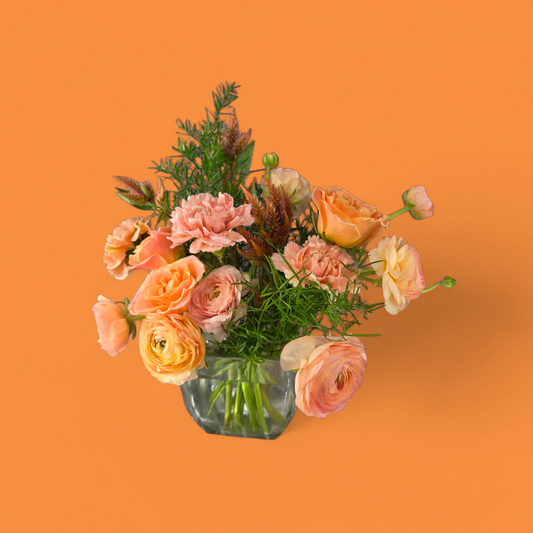 Standard Arrangement