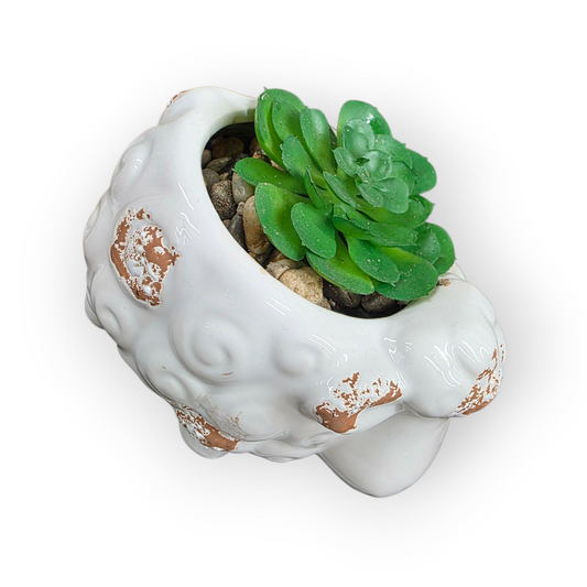 Sheep & Pig Succulent Figurines