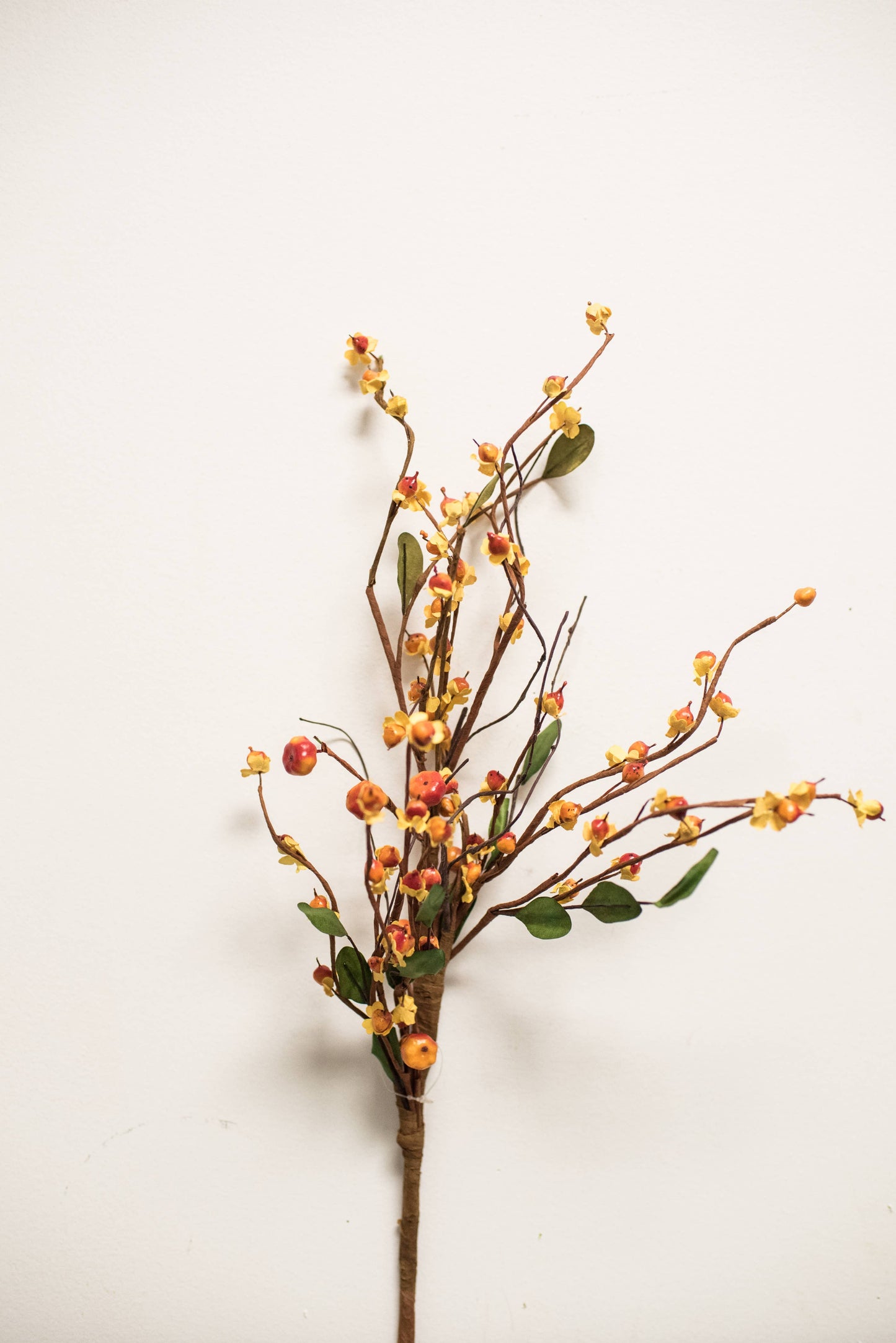 Bittersweet and Vines 28in Pick