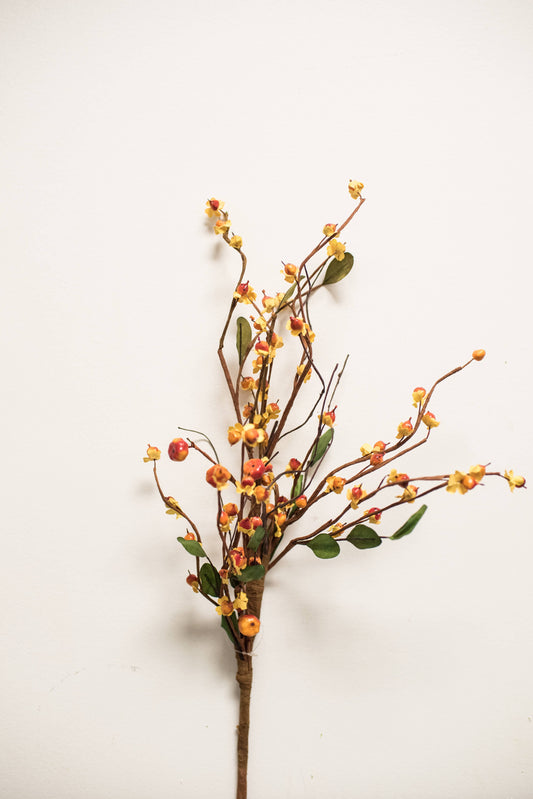 Bittersweet and Vines 28in Pick