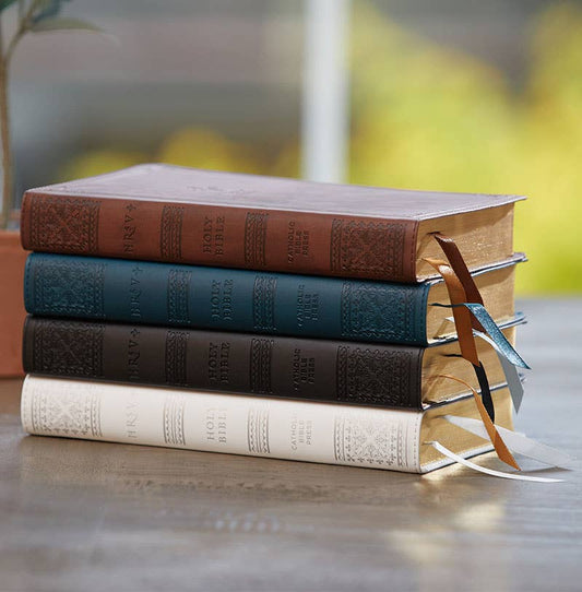 NRSV Catholic Edition Gift Bible, Teal Leathersoft (Comfort
