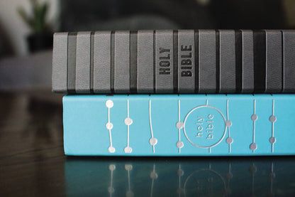 NIV Holy Bible for boys