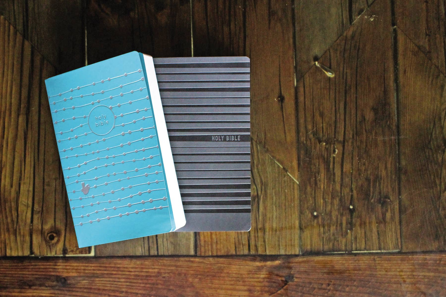 NIV Holy Bible for boys