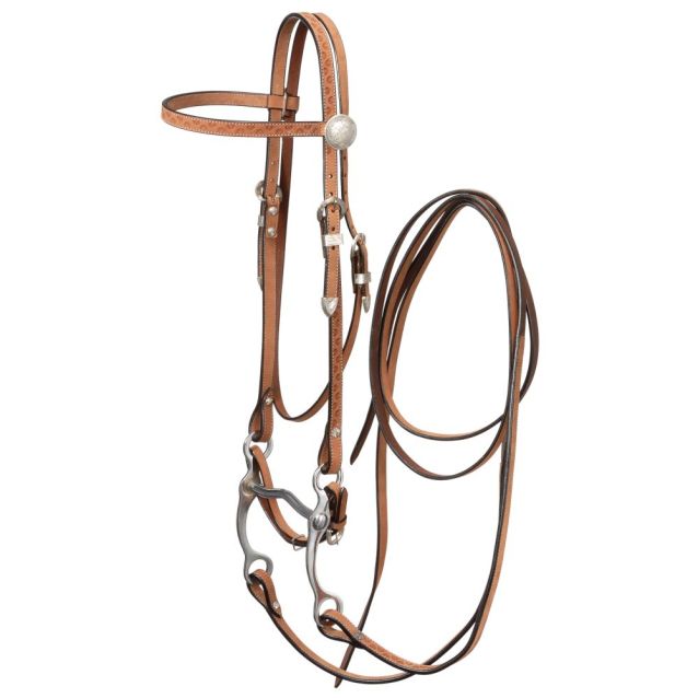 Brow Bridle