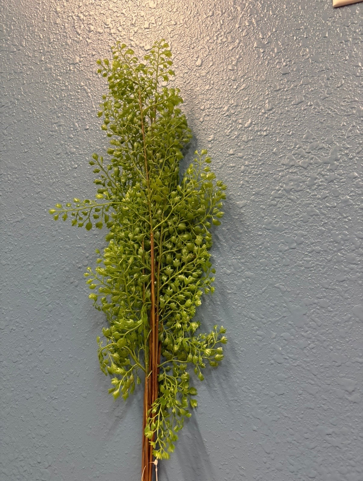 Plant fillers