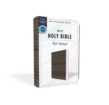NIV Holy Bible for boys