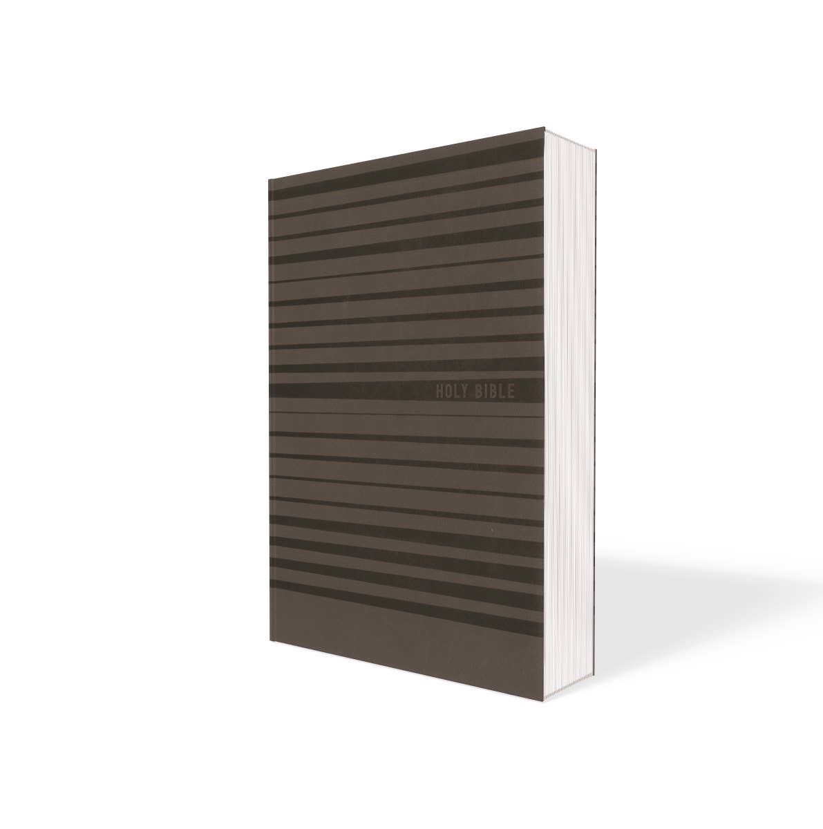 NIV Holy Bible for boys