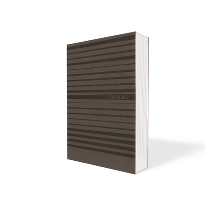NIV Holy Bible for boys