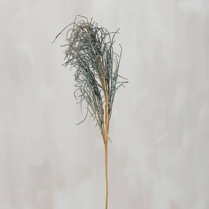 Blue Pampas Floral Pick