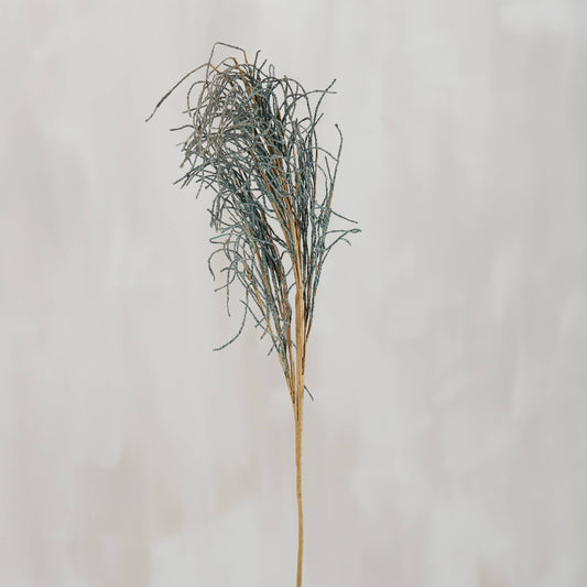 Blue Pampas Floral Pick