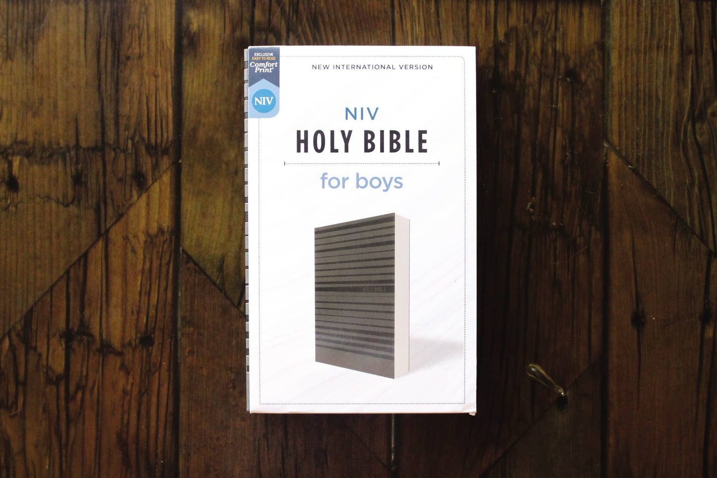 NIV Holy Bible for boys