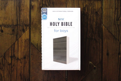 NIV Holy Bible for boys