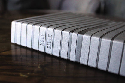 NIV Holy Bible for boys