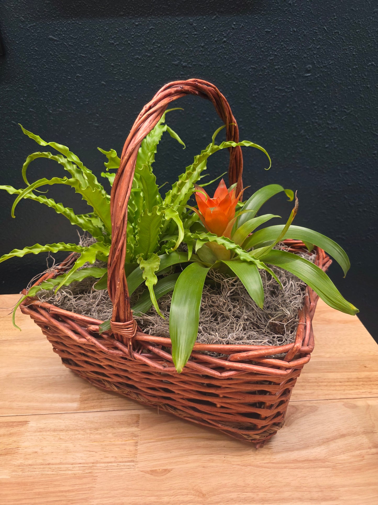 2 Plant Basket Dish Garden