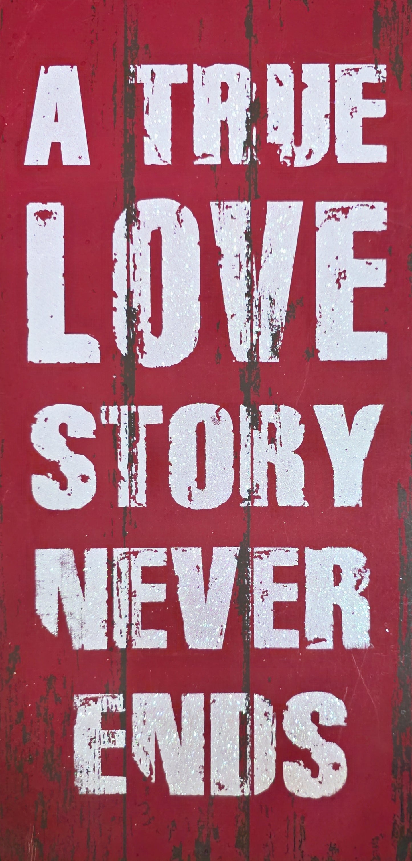 A True Love Story Never Ends