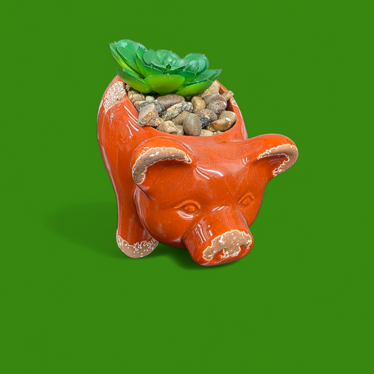 Sheep & Pig Succulent Figurines